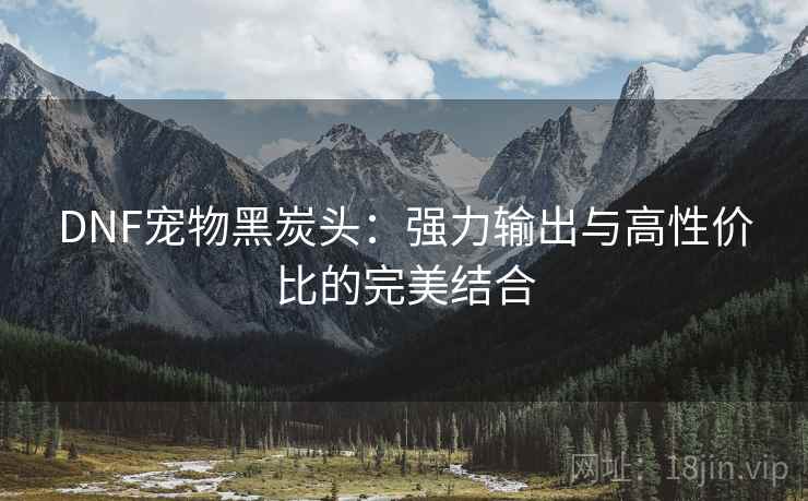 DNF宠物黑炭头：强力输出与高性价比的完美结合