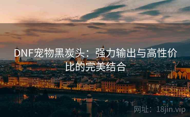 DNF宠物黑炭头：强力输出与高性价比的完美结合