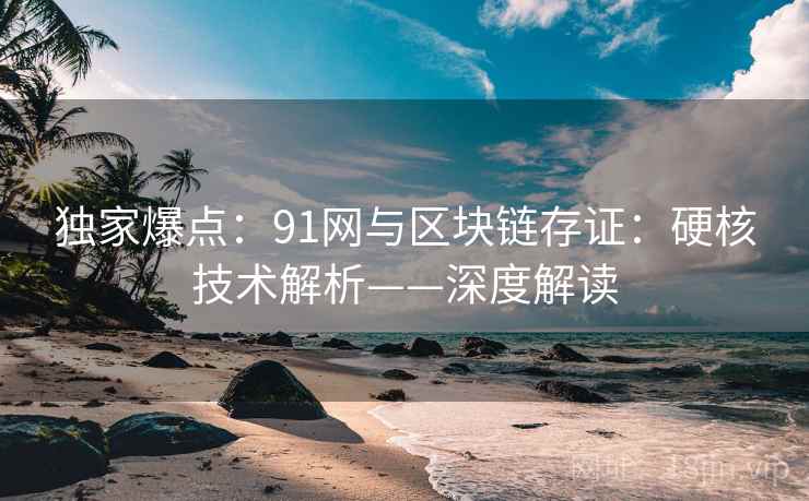 独家爆点：91网与区块链存证：硬核技术解析——深度解读