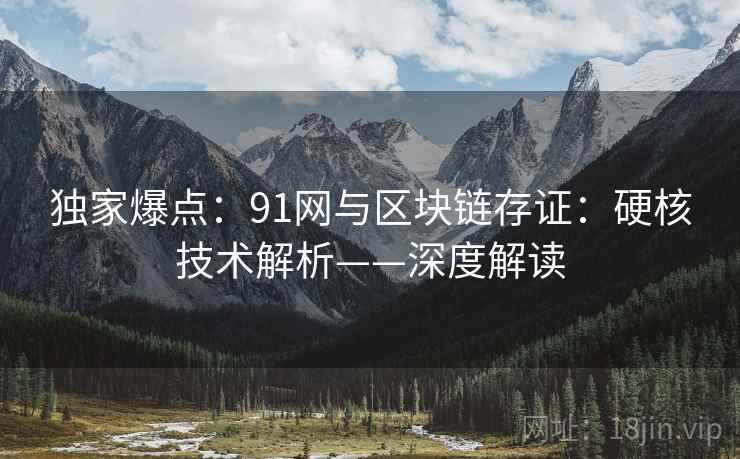 独家爆点：91网与区块链存证：硬核技术解析——深度解读