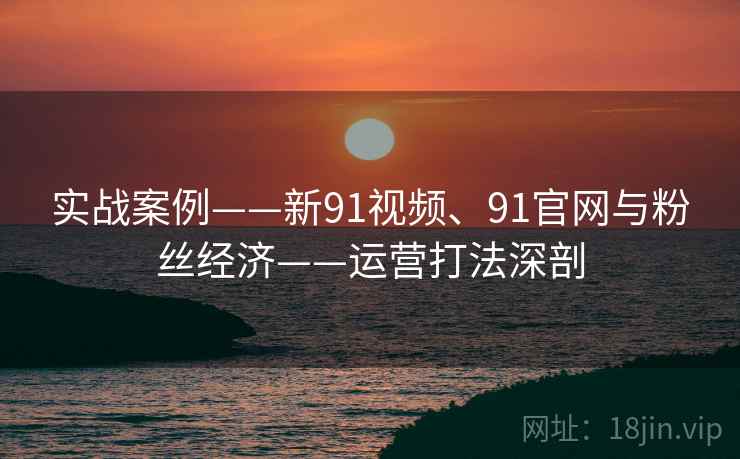 实战案例——新91视频、91官网与粉丝经济——运营打法深剖