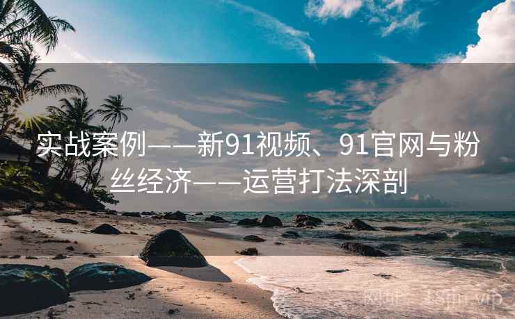 实战案例——新91视频、91官网与粉丝经济——运营打法深剖