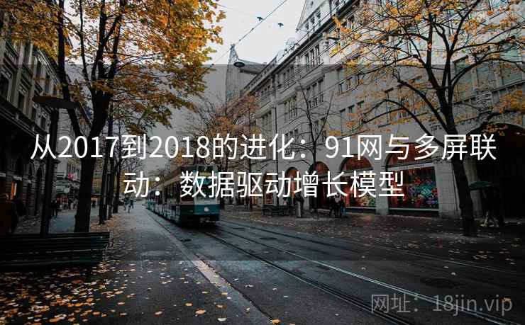 从2017到2018的进化：91网与多屏联动：数据驱动增长模型