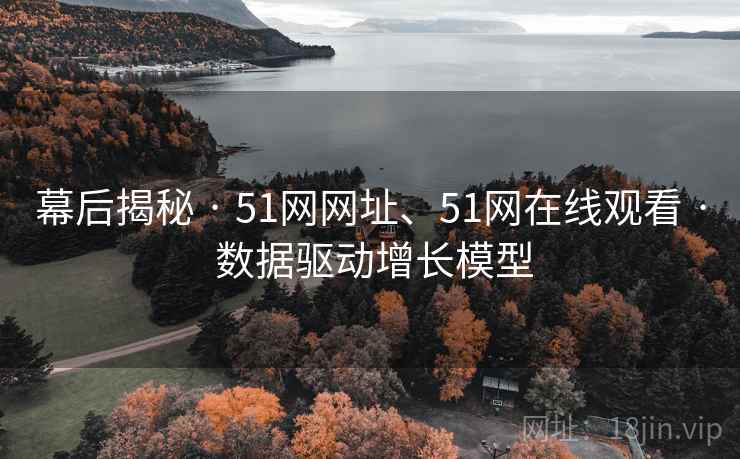 幕后揭秘 · 51网网址、51网在线观看 · 数据驱动增长模型