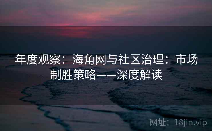 年度观察：海角网与社区治理：市场制胜策略——深度解读
