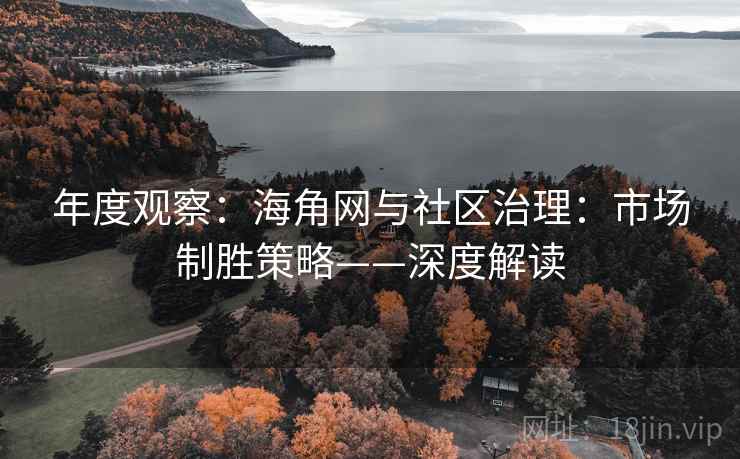 年度观察：海角网与社区治理：市场制胜策略——深度解读