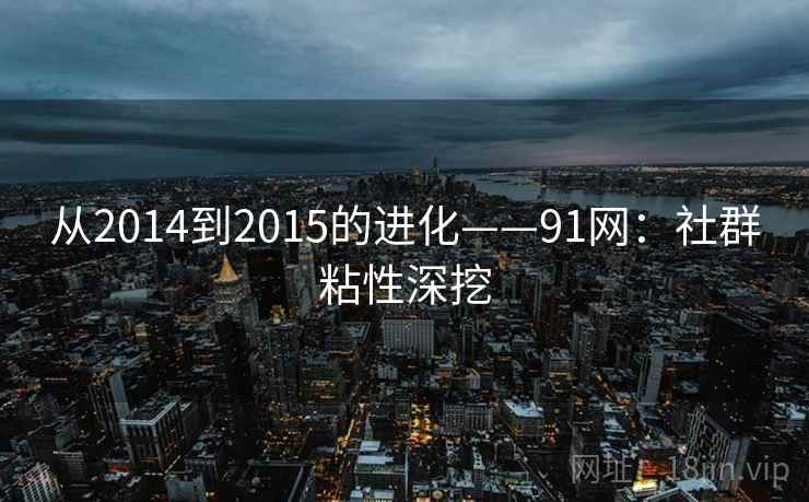 从2014到2015的进化——91网：社群粘性深挖
