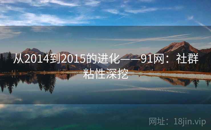 从2014到2015的进化——91网：社群粘性深挖