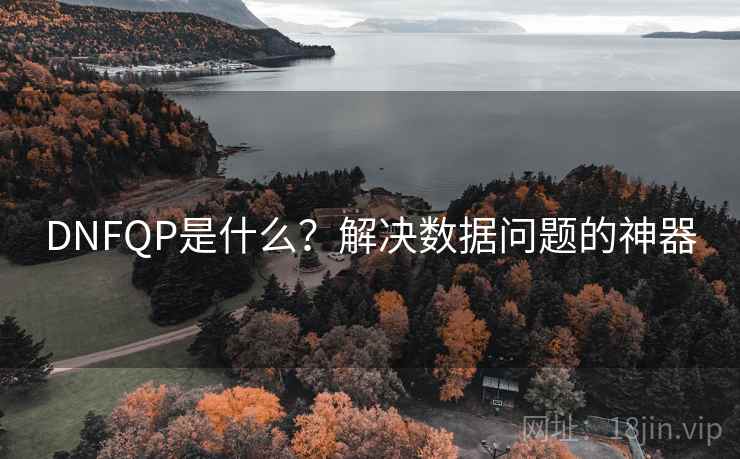 DNFQP是什么？解决数据问题的神器