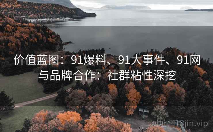 价值蓝图：91爆料、91大事件、91网与品牌合作：社群粘性深挖