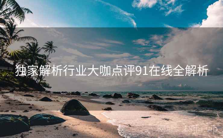 独家解析行业大咖点评91在线全解析