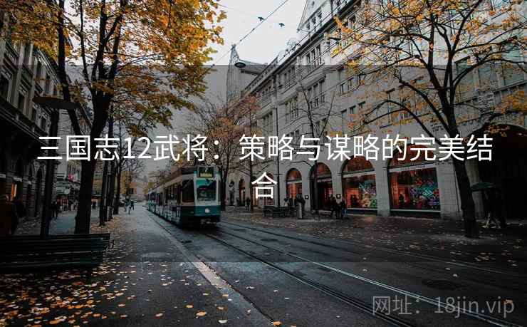 三国志12武将：策略与谋略的完美结合