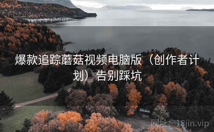 爆款追踪蘑菇视频电脑版（创作者计划）告别踩坑
