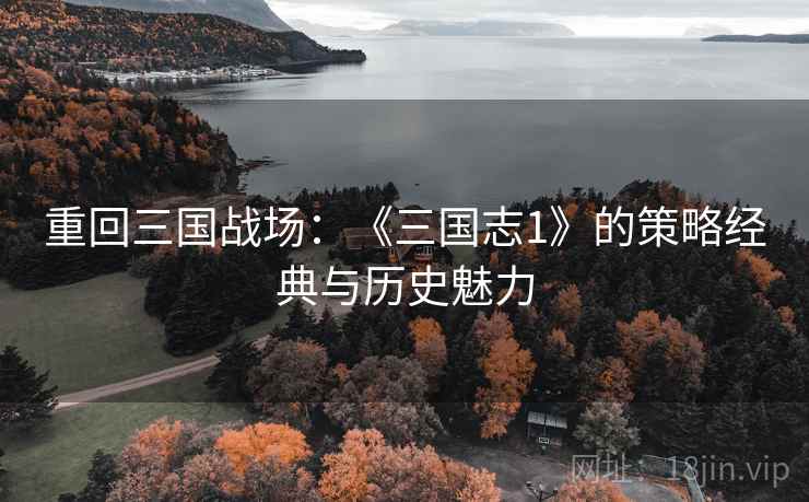 重回三国战场：《三国志1》的策略经典与历史魅力