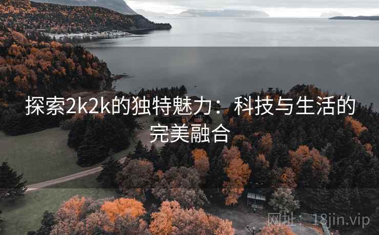 探索2k2k的独特魅力：科技与生活的完美融合