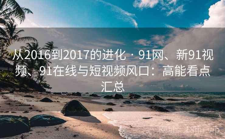 从2016到2017的进化 · 91网、新91视频、91在线与短视频风口：高能看点汇总